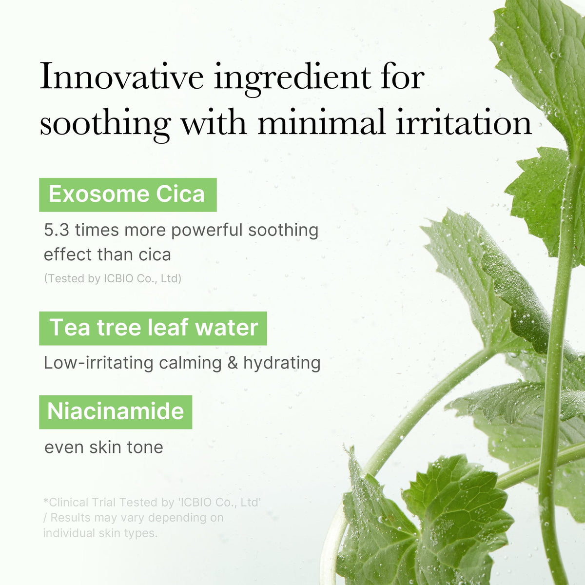 Exosome Cica Calming Toner Pads D4